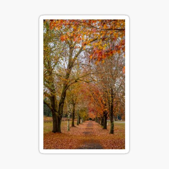 Discover Porepunkah, Bright & Surrounds, Victoria, Australia
