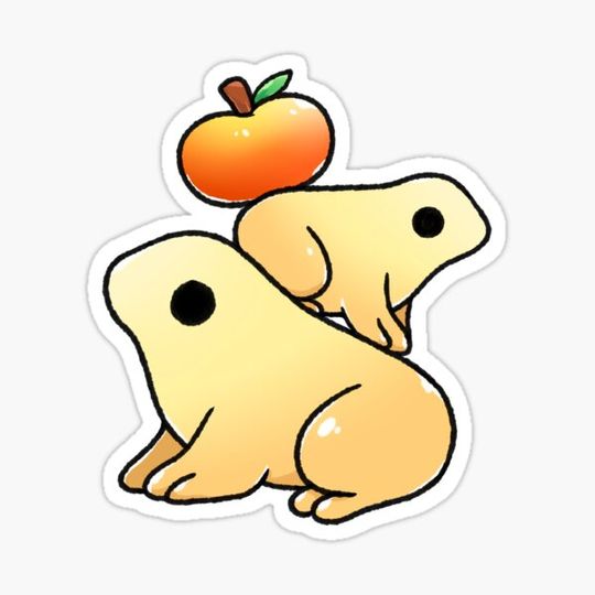 Discover Toadally Awesome!