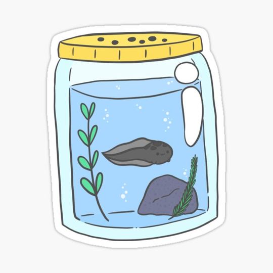 Discover Tadpole in a jar