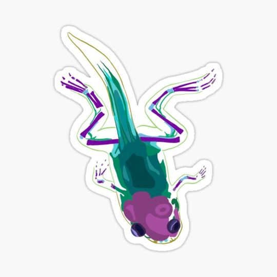 Discover Diaphonized Froglet
