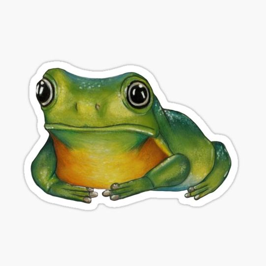 Discover lil froggy