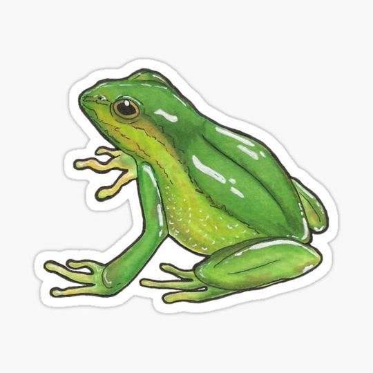 Discover Frog Adventure!