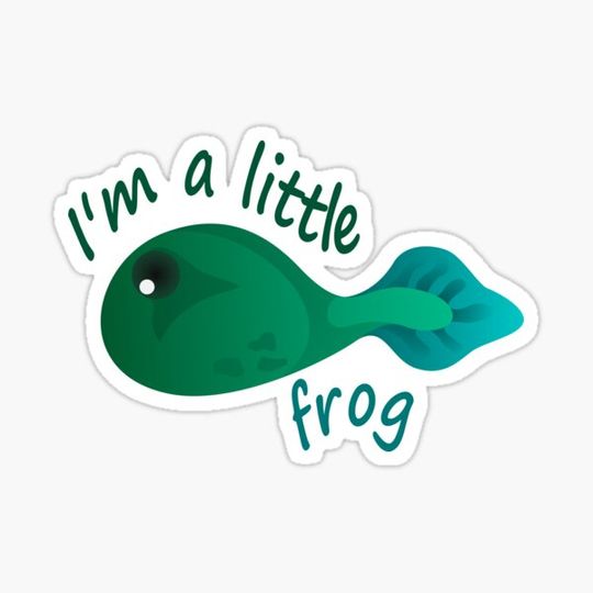 Discover I'm a little frog