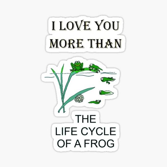 Discover Frog Life