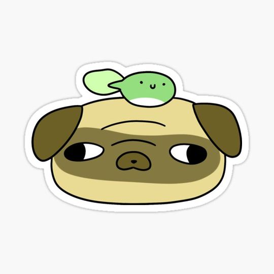 Discover Pug Face and Tadpole