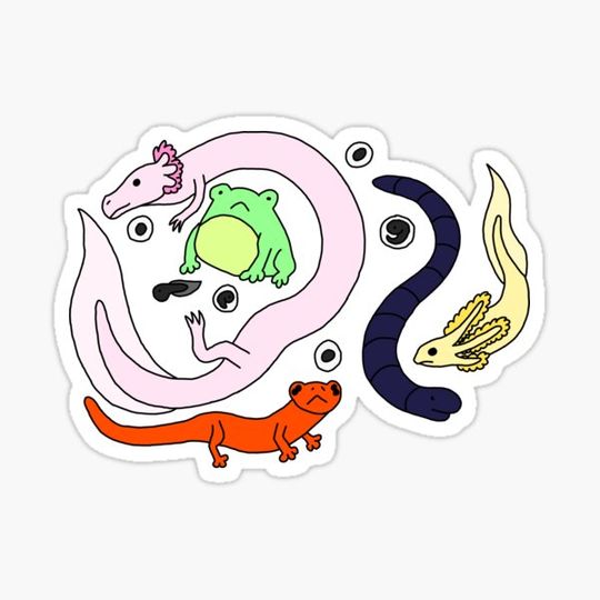 Discover Amphibians