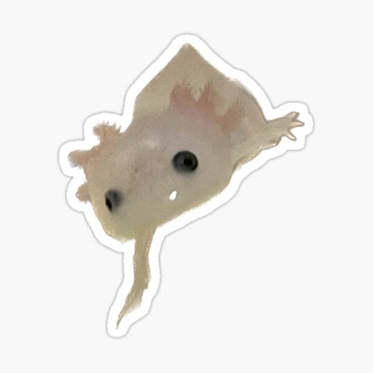 Discover Tiny Baby Smol Axolotl