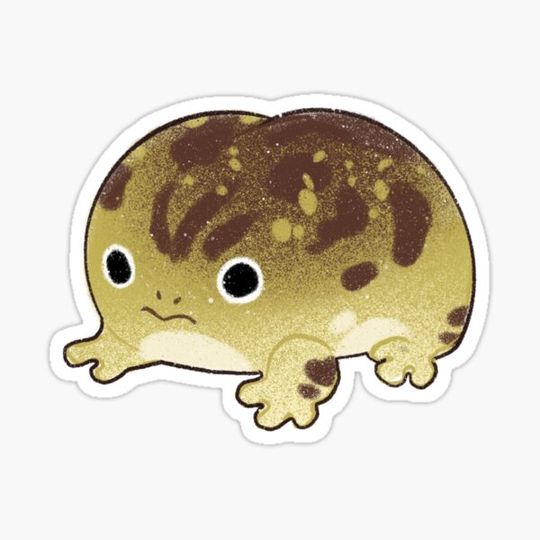 Discover Rain Frog