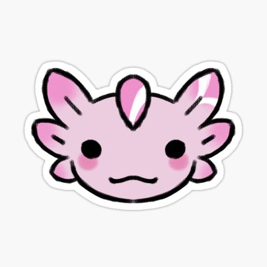 Discover Axolotl- Smile