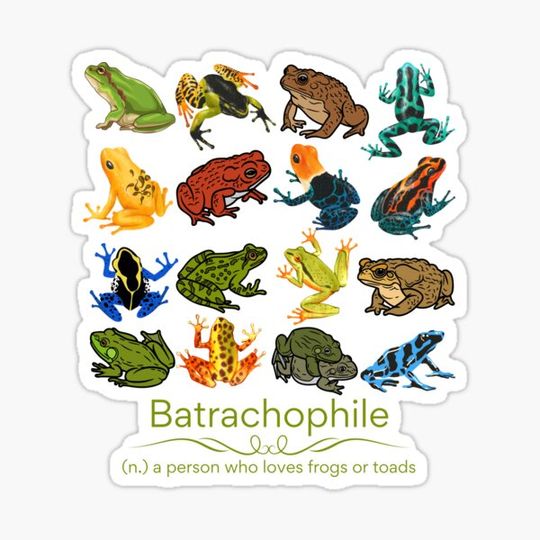 Discover Batrachophile - A Person Who Loves Frogs and Toads