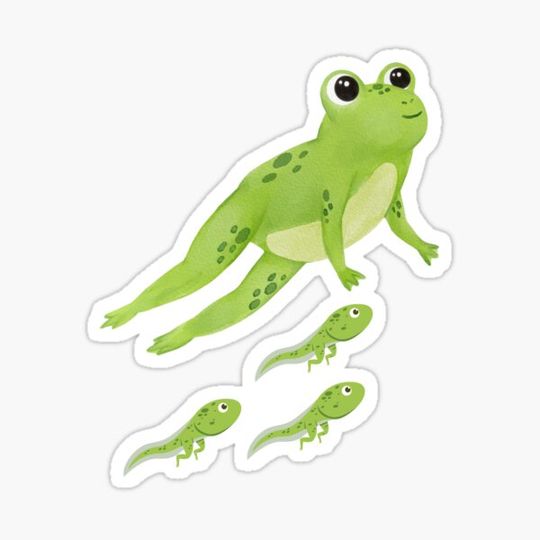 Discover Mama Frog With Cute Tadpoles
