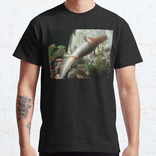 Discover Swimming Axolotl