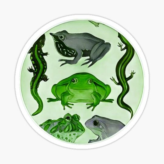 Discover Frogs and Newts