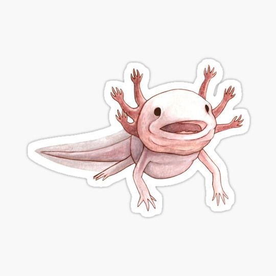 Discover Axolotl mutant