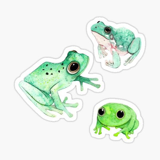 Discover Set of Three Cute Pet Frogs