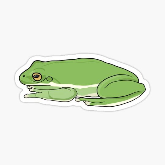 Discover Green Tree Frog - Horizontal