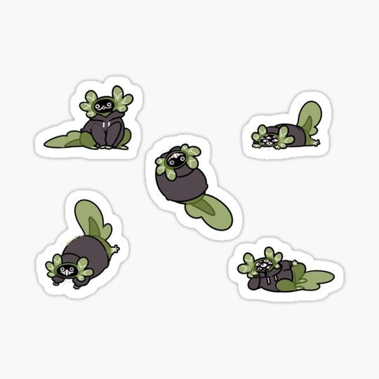 Discover Scary Dream water cat