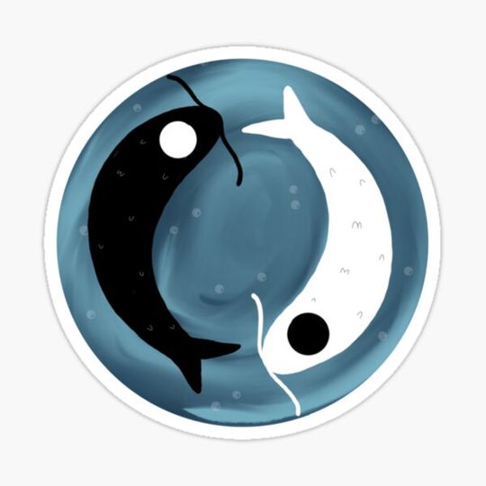 Discover Yin and yang Koi fish pond