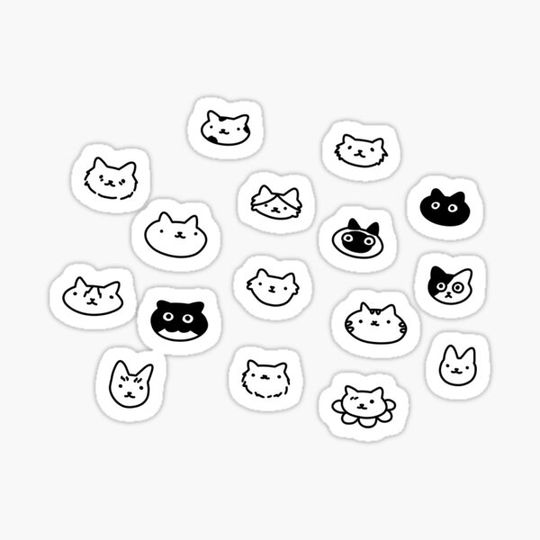 Discover gatos