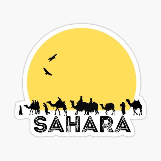 Discover camel Sahara,