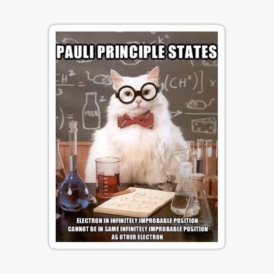 Discover Chemistry Cat Pauli Principle Joke Meme