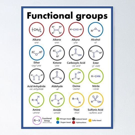 Discover Essential Functional Groups in Organic Chemistry