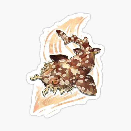 Discover Wobbegong Shark