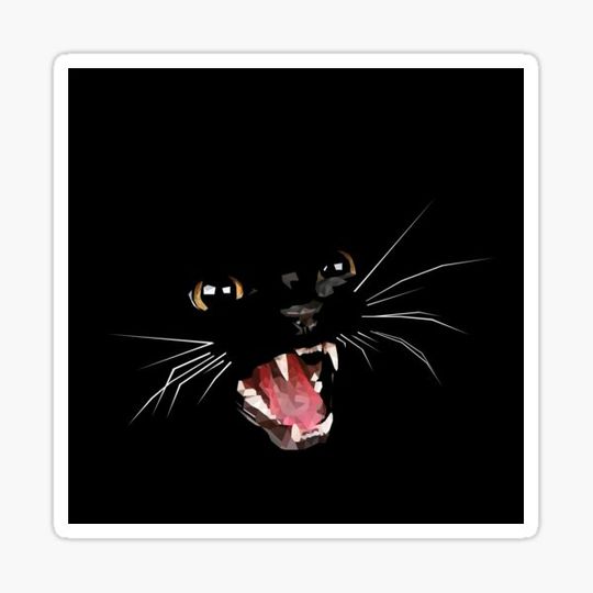 Discover Angry Cat