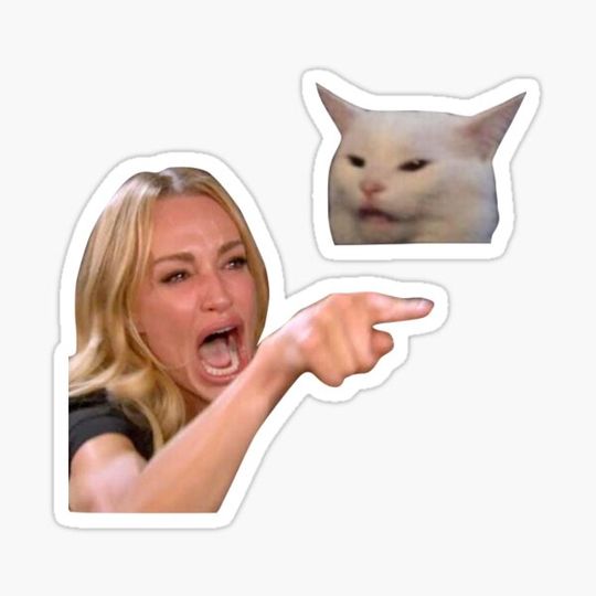 Discover woman yelling at cat sticker set