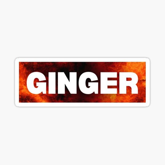 Discover Ginger Flames Bumper