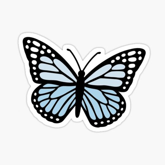 Discover Blue butterfly