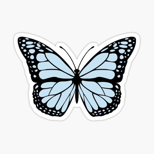 Discover Monarch Butterfly Pastel Blue