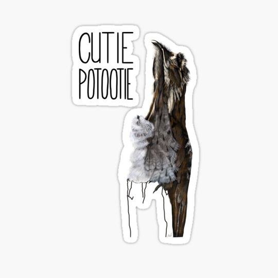 Discover Cutie Potootie (Common Potoo)