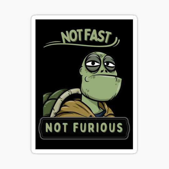Discover Not Fast Not Furious