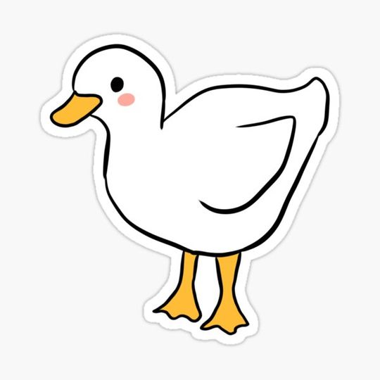 Discover Cute little duck