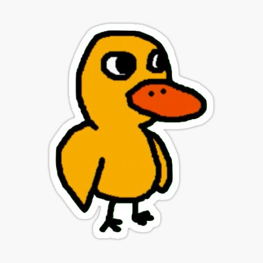 Discover The duck from the duck song