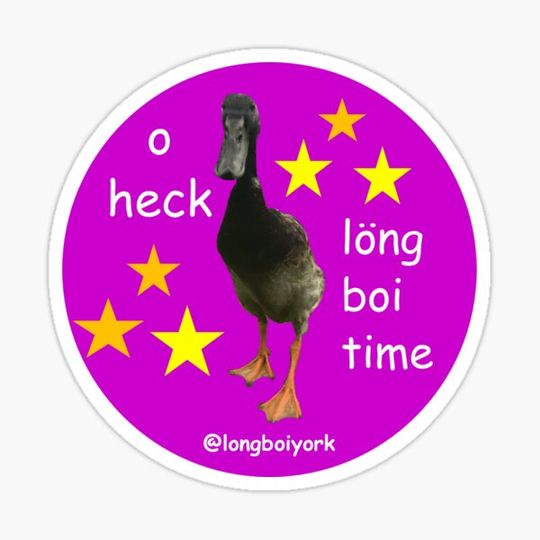 Discover o heck long boi time