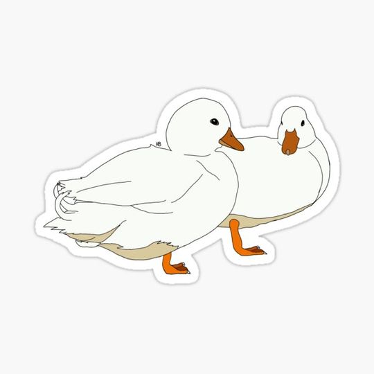 Discover White Call Duck Pair