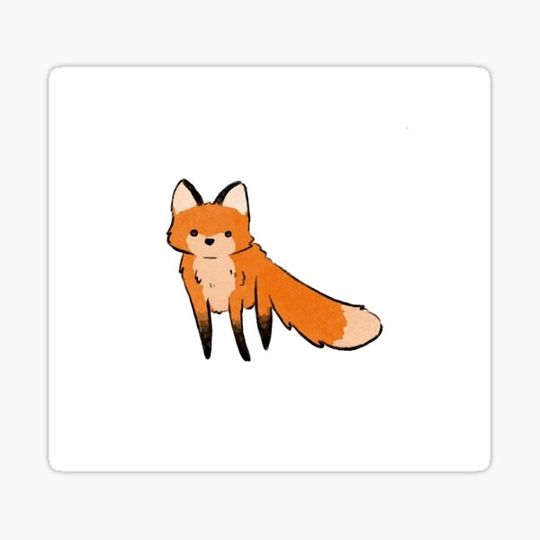 Discover Little fox!