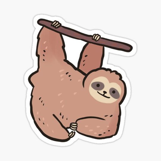 Discover Sloth animal
