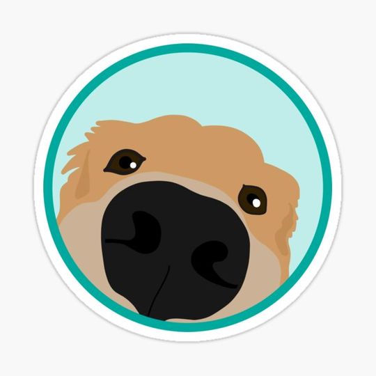 Discover Golden Retriever Cartoon