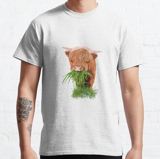 Discover Highland cow