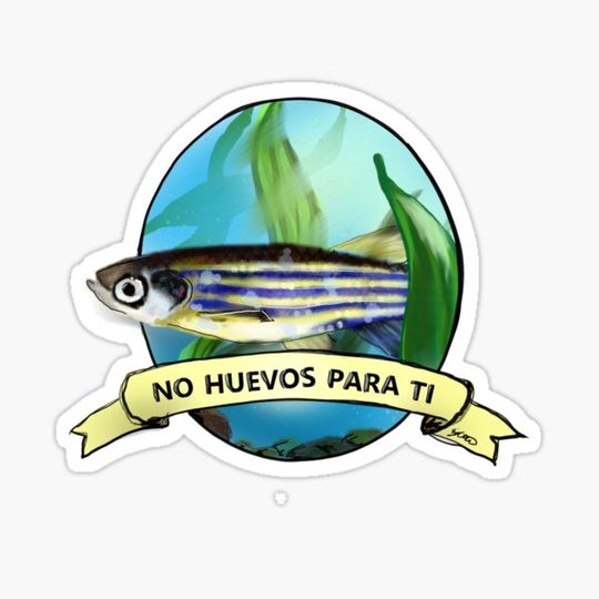 Discover No Huevos