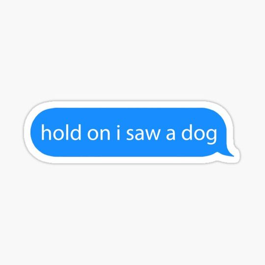 Discover hold on i saw a dog