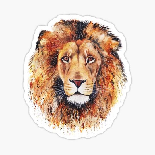 Discover Orange Lion