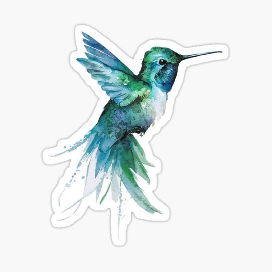 Discover Hummingbird