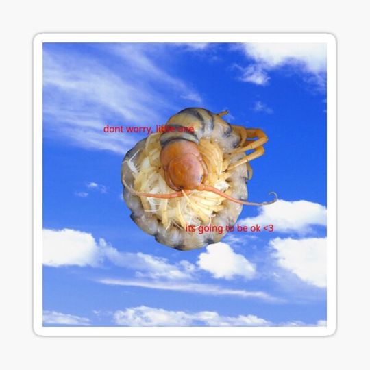 Discover don't worry, little one / sky