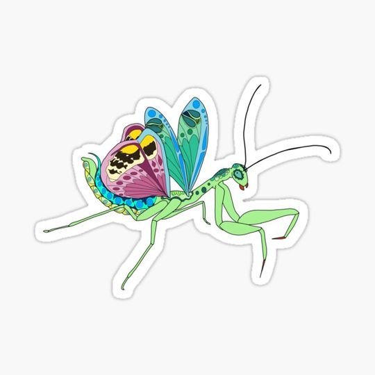 Discover Praying mantis