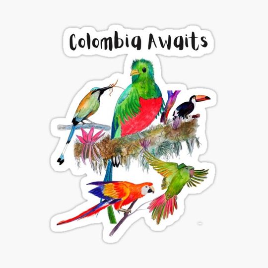 Discover Colombia Awaits