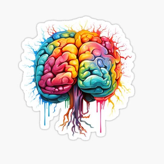 Discover Colorfull anatomical brain